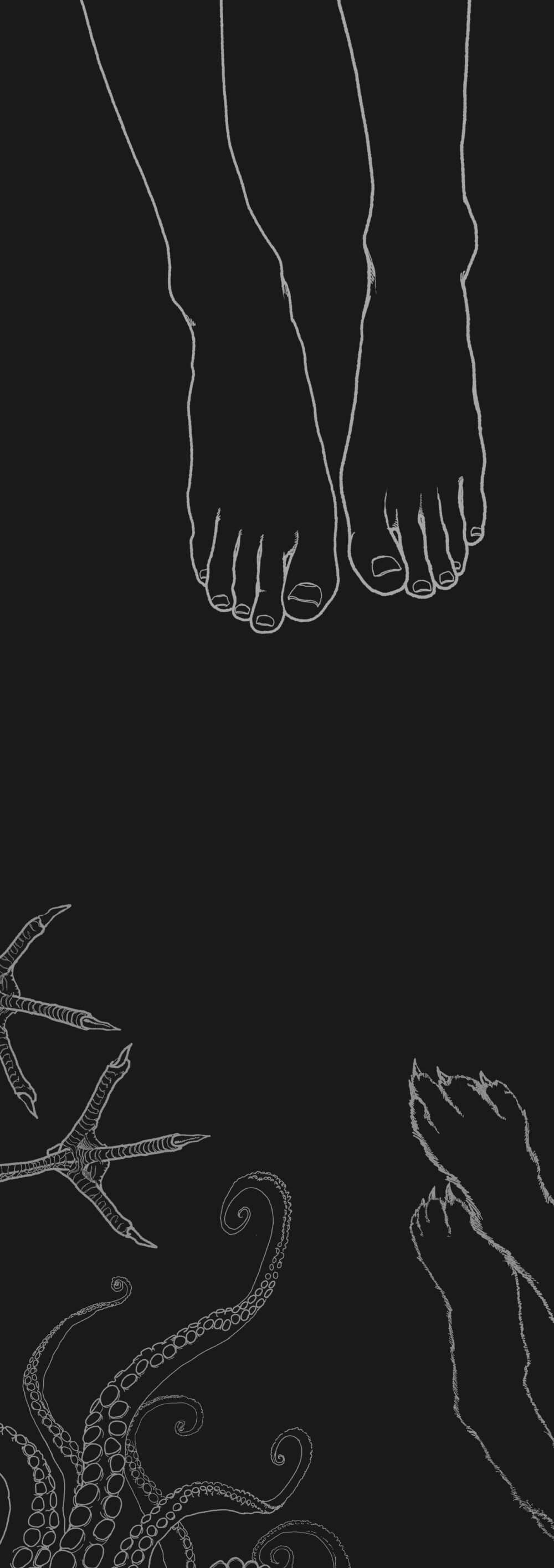 生物のドローイング00005